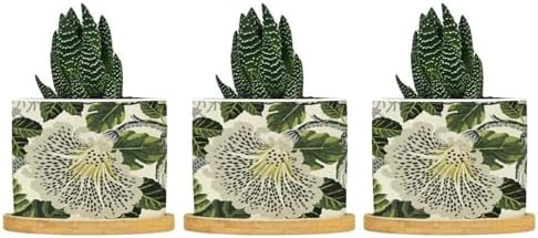 Green and White Floral Planter Ceramic Chinoiserie Flower Round Flower Pots with Drainage Holes and Bamboo Tray Pot for Outdoor Garden Home Plant by BRUYU5SE