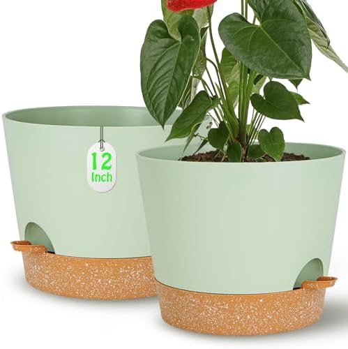 Self Watering Green Plastic Plant Pot Flower Planters with Drainage Hole And Deep Reservoir Large Planting Pots for for All Houseplants,Succulent, African Violets, Flowers and Cactus 12Inch/2pcs by SESUN-E