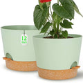 Self Watering Green Plastic Plant Pot Flower Planters with Drainage Hole And Deep Reservoir Large Planting Pots for for All Houseplants,Succulent, African Violets, Flowers and Cactus 12Inch/2pcs by SESUN-E
