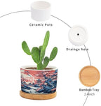 Pink Blue Chinoiserie Planters Ceramic Coral Chinoiserie Chic Asian Round Flower Pots with Drainage Holes and Bamboo Tray Pot for Home Office Decoration - Image 3