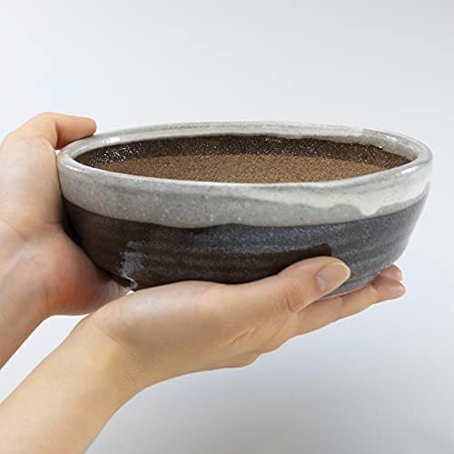 Wazakura Shigaraki Series Handmade Stripe Glazed Ceramic Bonsai Pot - Image 5