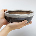 Wazakura Shigaraki Series Handmade Stripe Glazed Ceramic Bonsai Pot - Image 5