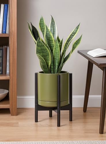 D'vine Dev Ceramic Pot with Ebony Wood Stand, Olive, 10 in, 55-B-L-J - Image 2