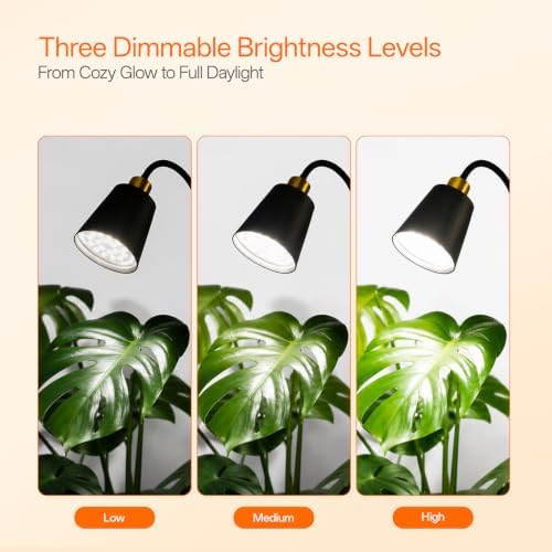 Bstrip F11D Standing Grow Light, 65" Dimmable Plant Light for Indoor Plants - Image 5