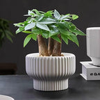 Puoyik 2 Piece Set of Flower Pots 8/6 inches, Ceramic Flower Pots with Drainage Holes, Indoor and Outdoor Plant Flower Planter (7.8/5.9 White) - Image 4
