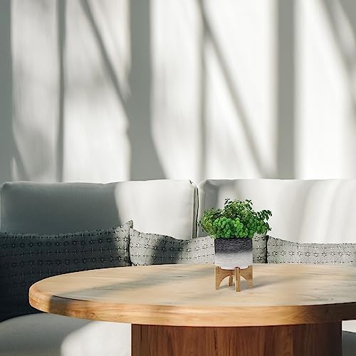 5" Ceramic Planter with Wood Stand, 5 Inch, Gray by Noeko