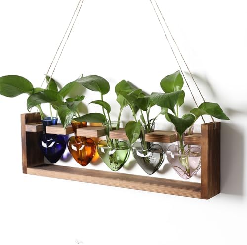 Plant Terrarium Hanging Propagation Stations Gift for Women by YYHglass
