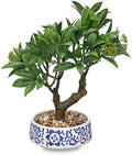 Artificial Bonsai Tree, Small Bay Laurel Bonsai Tree 13" Indoor Bonsai Tree by Oairse