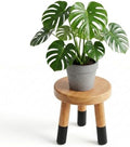 9" Rubber Wood Plant Stand for Indoor Plants, Modern Rustic by JOLLYMER