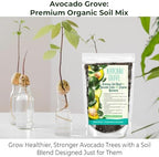 GARDENWISE Avocado Tree Soil – Premium Organic Potting Mix for Avocado Trees | Tailored pH & Organic Nutrients | Fast-Draining & Moisture-Retaining | Indoor & Outdoor Use (5 QUARTS) - Image 2
