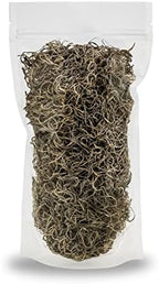 Gardenera Premium Natural Spanish Moss | Natural Preserved - Great Ground Cover - Filler for Potted Plants - 5 Quart Bag - Image 7