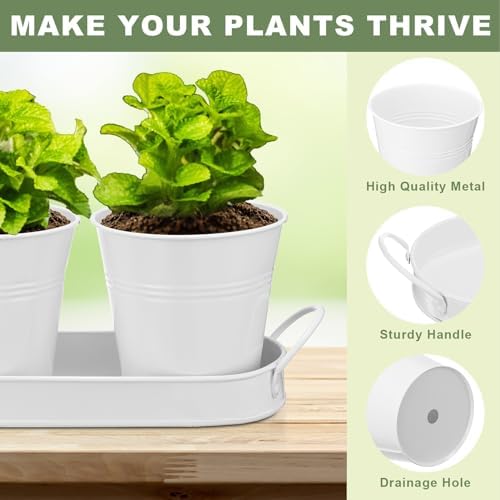 Hicarer 2 Sets Herb Planter with Tray Metal Herb Garden Planter with Drainage Farmhouse Windowsill Pots for Indoor Plants Flower Succulent Outdoor Kitchen Apartment Balcony Window (White) - Image 5