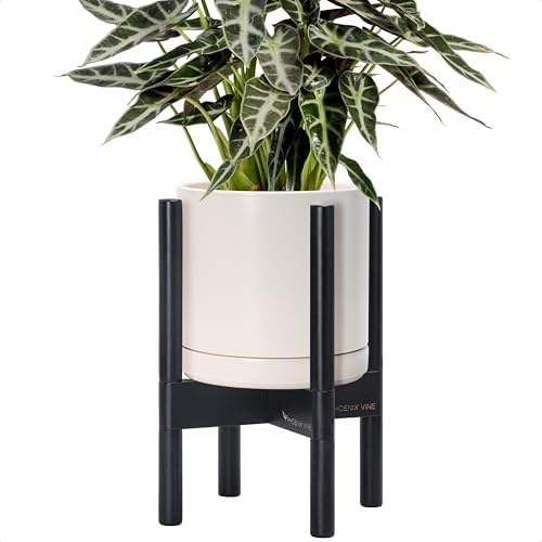 D'vine Dev Ceramic Pot with Ebony Wood Stand, Oatmeal, 8 in, 55-B-M-8 by DvineDevPlanterPotsandStand