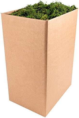 SuperMoss (25327) Forest Moss Preserved, Fresh Green, 10 Pounds by SuperMoss