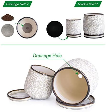D'vine Dev 2-Pack Embossed Leaves Planter, 4/6 in, Smoked White, 27-B-U-1 - Image 4