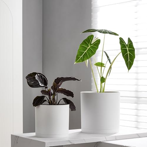 FaithLand 10-Inch Modern Cylinder Planter, Thick-Walled Plastic Plant Pot with Drainage Holes and Detachable Saucer, Matte White, Ideal for Indoor & Outdoor Plants Flowers - Image 5