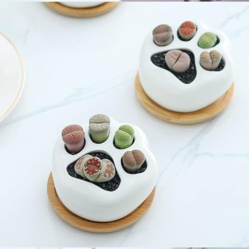 BESTonZON Ceramic Cat Paw Flower Pots, 2 Sets with Tray for Succulents - Image 4
