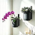 2 Pcs Wall Mounted Hanging Planter Vase for Indoor Outdoor Plants,Modern Metal Wall and Ceiling Hanging Flower Pot with Removable Flower Pot,Minimalist Decor for Herbs Succulents Flowers,6.7Inch,Grey by Unknown