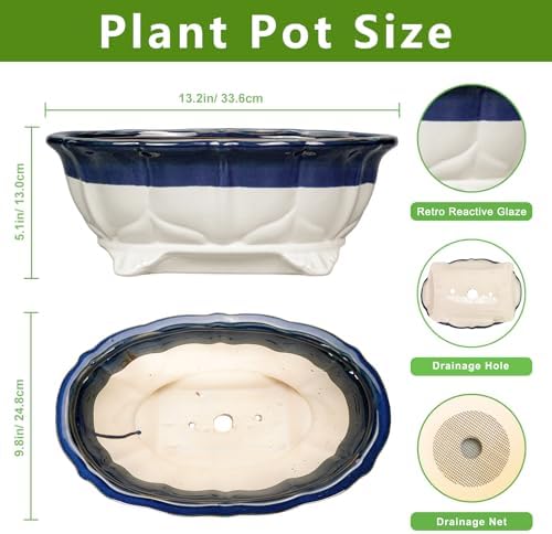 Ceramic Bonsai Tree Pots - 13.2 Inch Succulent Pots with Drainage Hole, Large Succulent Planters for Indoor Outdoor Plants, Shallow Bonsai Planter, House Decor, Gardening Gift, Oval Beige-Blue - Image 2