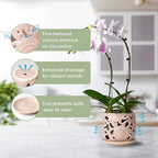 HERDUK Ceramic Orchid Pot, Orchid Pots with Drainage Holes & Saucer 6.5 Inch,Orchid Pot for Repotting Indoor, Orchid Containers with Precise Aeration & Drainage - Image 3
