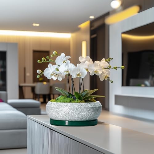 Succulent Planters 10 Inch - Ceramic Bonsai Pots with Drainage Hole and Saucer, Large Succulent Pots Indoor, Shallow Planter, Round Bowl Planter Outdoor, Patio Decor, Plant Lover Gift, Green - Image 5