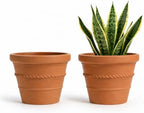 2 Pack 8 Inch Terracotta Pots for Plants, Rope Pattern with Drainage Hole by vensovo