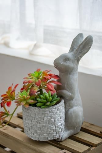 Standing Rabbit Cement Planter, Gray, 12.5 Inch by Noeko