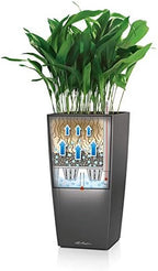 Lechuza CUBICO 22 Scarlet Red High Gloss, Self-Watering Tall Planter, H16.1 L8.7 W8.7 in - Image 7