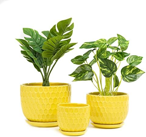 Yellow Ceramic Flower Pots with Saucers, Modern Round Ceramic Succulent Plant Pots with Honeycomb Inspired Texture Design, Small to Medium Sized, Set of 3 by Nattol