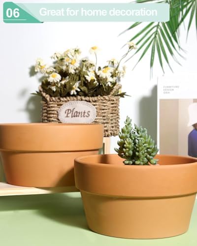 vensovo 8 Inch Terracotta Shallow Planter Pots, 2 Pack, Drainage Hole - Image 5
