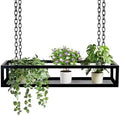 Flower Pot Rack Storage, Ceiling Hanging Plant Stand, Floating Suspended Shelving, Creative Plant Railing Shelf for Bar, Living Room, Balcony, Flower Shop(80x25x15cm) by Unknown