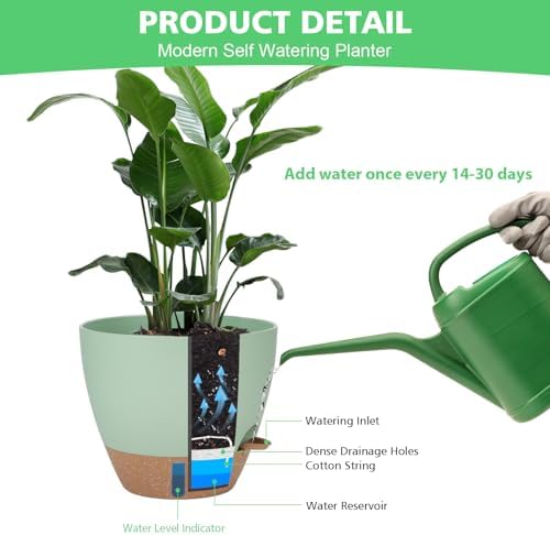 Self Watering Planter Set with Visual Water Level, 6Pack Small Plastic Pot with Drainage Holes and Reservoir Saucers, Modern 8+7+6.5+6+5.5+5 Inch Bottom Watering Flower Pots for Indoor Plant - Green - Image 6