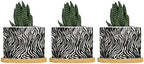 in Beige Planter Ceramic Black White Zebra Print Round Plant Pot with Drainage Holes and Bamboo Tray Pot for Indoor Outdoor Garden by BRUYU5SE