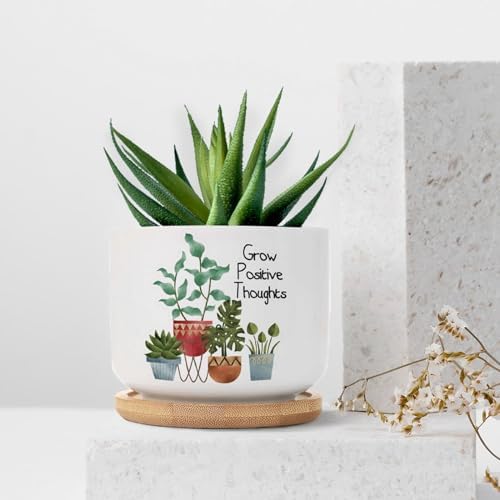 DreamAutumn Pack of 3 Grow Positive Thoughts Planter Ceramic Round Plant Pots with Drainage Holes and Bamboo Tray Planting Small Flower Pots for Home Windowsill Desk Garden Indoor Outdoor Use - Image 7