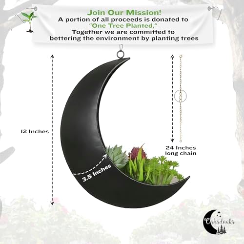 Hanging Moon Planter for Moon Room Decor - Great for Succulents, Air Plant, Mini Cactus, Faux, Artificial Plants-Boho Hanging Planters for Indoor Plants, Witchy Gifts for Women, Birthdays,Plant Lovers - Image 2