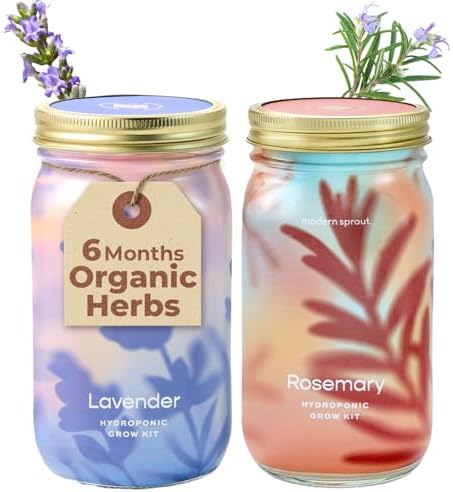 Modern Sprout Mason Garden Jar-Self-Watering Kit - Lavender+Rosemary by ModernSprout