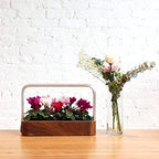 edn Indoor Smart Garden with Basil SeedPods for iOS Devices - Image 3