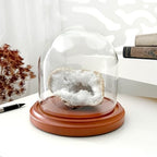 Plymor 5.5" x 5.5" Glass Display Dome Cloche (Walnut MDF Base) - Image 3