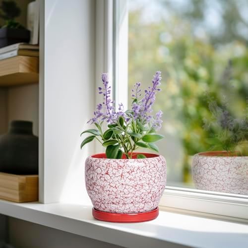 SQOWL 6 Inch Plant Pot - Ceramic Planter for Indoor Outdoor, Round Decorative Plant Pot with Drainage Hole and Saucer, Small Flower Planter, Home Balcony Decor, Gifts for Women Men, Red and White - Image 2
