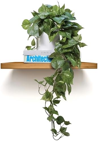 MY ROVALA Silk Plants for Home Decor Indoor in Pot Realistic Artificial Plants Hanging Faux Plants Indoor Fake Potted Plants for Shelves Bedroom Bathroom Trailing Plant, Fake Pothos Ivy (Dark Green) by ROVALA