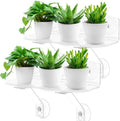 12 Inch 2 Pack Plant Window Boxes Shelf Sill Suction Cup Planter, 5-Inch Extra Wide Window Sill Extender with Load Bearing Bracket for Herbs, Succulents, Clear Acrylic Indoor Plant Stand, Planter Holder1 by Unknown