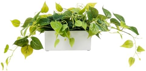 MyGift Vibrant Lifelike Artificial Plant Pothos Leafy Vine Greenery in White Concrete Rectangular Planter Box - Image 6