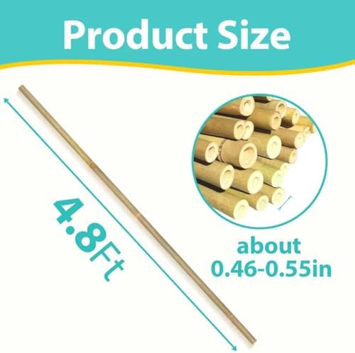 Bamboo Stakes 4.8FT, Approx 5ft Plant Stakes, Garden Stakes 25pcs Specifically Designed for Climbing Plants, Ideal for Tomatoes, Beans, Cucumbers, Peppers, Vines, and More Plant Growth - Image 2