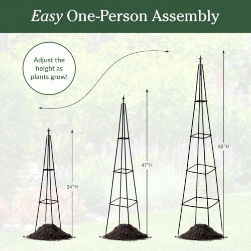 Evergreen Metal Garden Obelisk Trellis for Climbing Plants Outdoor, Indoor Plant Trellis for Potted Plants, Floral Pattern Arch Trellis (Black, 6 ft. Pyramid, Set of 2) - Image 3
