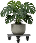 12" Plant Caddy with Wheels Heavy Duty Rolling Plant Stand, 500lbs Capacity by Unknown