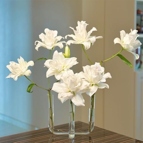 Glass Plant Propagation Stations, Gardenia Propagation Vases for Plants Bedroom Propagated Plant Holders - Image 2