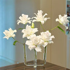 Glass Plant Propagation Stations, Gardenia Propagation Vases for Plants Bedroom Propagated Plant Holders - Image 2