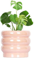 10 Inch Ceramic Plant Pot with Drainage, Planter for Indoor Plants by YFFSRJDJ
