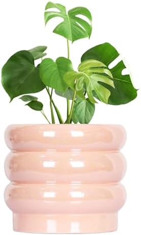 10 Inch Ceramic Plant Pot with Drainage, Planter for Indoor Plants by YFFSRJDJ