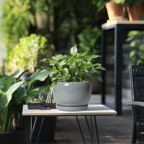 SQOWL Ceramic Pot for Plants - 8 Inch Plant Pot Indoor with Drainage Hole and Saucer, Round Planter Outdoor, Decorative Modern Planter for Flower, Bedroom Decor, Plant Lovers Gifts, Gray - Image 5